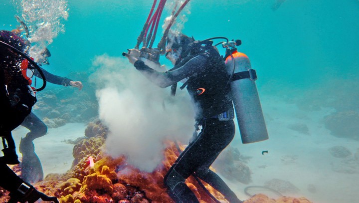 Divers in the South Pacific examine fossil corals